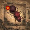 星辰视频免费追剧app安装免费版